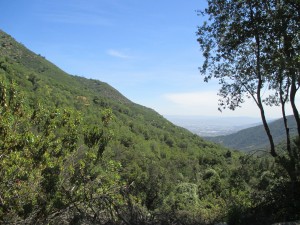 IMG_1159
