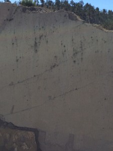 IMG_4447