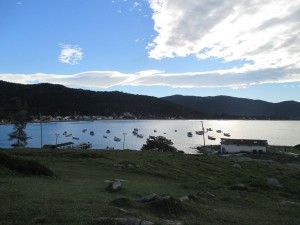IMG_0784