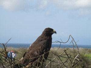 IMG_0560