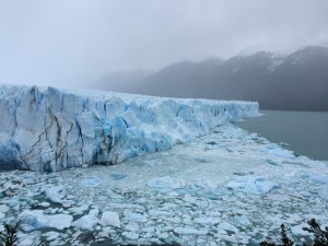 IMG_6537