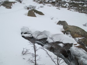 IMG_1358