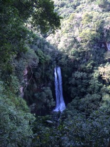 IMG_4893