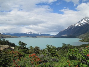 IMG_1723