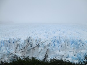 IMG_1549